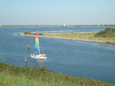 Segelboot auf dem Grevelingenmeer bei Scharendijke