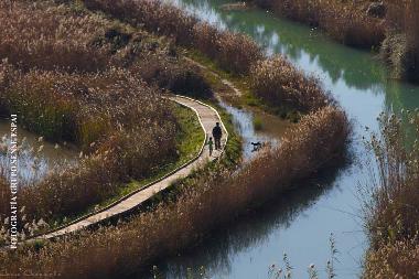 Im Naturpark Marjal knnen sie tolle Radtouren unternehmen