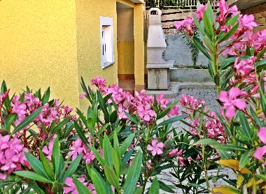 Ferienwohnung in Murter (Sibensko-Kninska) oder Ferienwohnung oder Ferienhaus