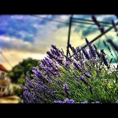 Ferienwohnung in Murter (Sibensko-Kninska) oder Ferienwohnung oder Ferienhaus
