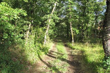 Ferienhaus in lavercantiere (Lot) oder Ferienwohnung oder Ferienhaus