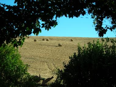 Ferienhaus in Castello di Querceto (Pisa) oder Ferienwohnung oder Ferienhaus