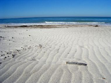 Ferienhaus in Castello di Querceto (Pisa) oder Ferienwohnung oder Ferienhaus