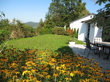 im Sommer blht der Sonnenhut an unserer Terrasse