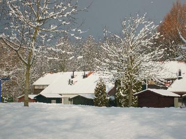 Winterromantik im Park