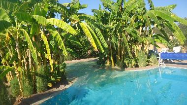 Pension in marrakech (Marrakech) oder Ferienwohnung oder Ferienhaus