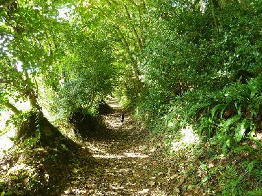 Ferienhaus in Bude (South West) oder Ferienwohnung oder Ferienhaus