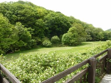 Ferienhaus in Bude (South West) oder Ferienwohnung oder Ferienhaus