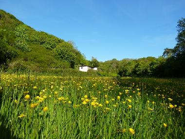 Ferienhaus in Bude (South West) oder Ferienwohnung oder Ferienhaus
