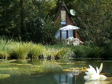 Chalet in SARLAT (Dordogne) oder Ferienwohnung oder Ferienhaus