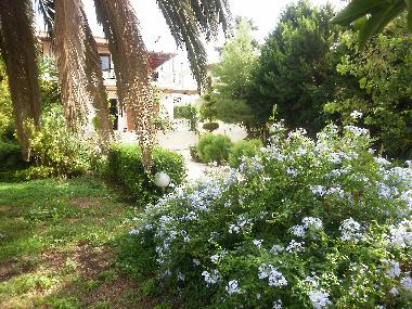 Ferienhaus in Loutraki (Korinthia) oder Ferienwohnung oder Ferienhaus