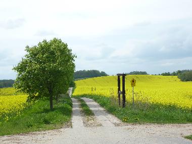 Ferienhaus in Dahmen (Mecklenburgische Seenplatte) oder Ferienwohnung oder Ferienhaus
