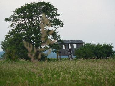 Beobachtungsturm