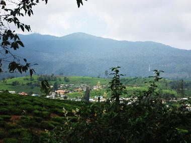 Ferienhaus in Nuwaraeliya (Nuwara Eliya) oder Ferienwohnung oder Ferienhaus