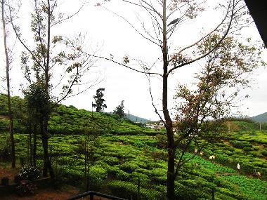 Ferienhaus in Nuwaraeliya (Nuwara Eliya) oder Ferienwohnung oder Ferienhaus