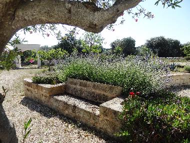Ferienhaus in Francavilla Fontana (Brindisi) oder Ferienwohnung oder Ferienhaus