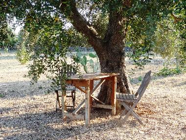 Ferienhaus in Francavilla Fontana (Brindisi) oder Ferienwohnung oder Ferienhaus