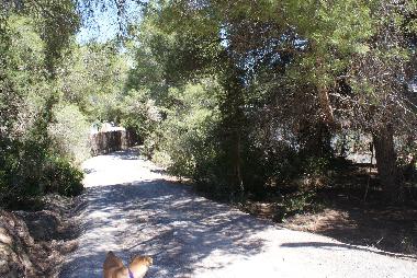 Ferienhaus in Sa Caleta (Ibiza) oder Ferienwohnung oder Ferienhaus