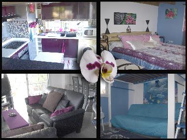 Villa in Ravine des Cabris (R�union) oder Ferienwohnung oder Ferienhaus