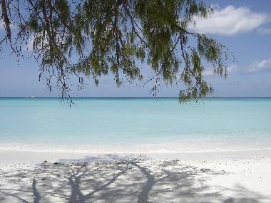Villa in Ravine des Cabris (R�union) oder Ferienwohnung oder Ferienhaus