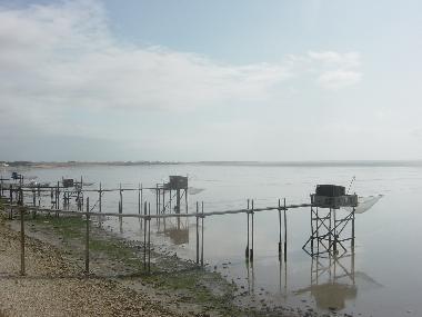 Ferienwohnung in Dompierre sur mer (Charente-Maritime) oder Ferienwohnung oder Ferienhaus