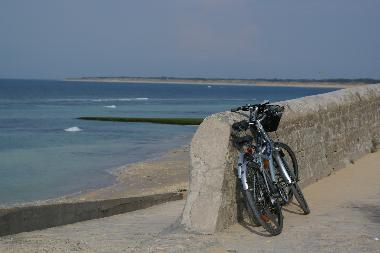 Ferienwohnung in Dompierre sur mer (Charente-Maritime) oder Ferienwohnung oder Ferienhaus