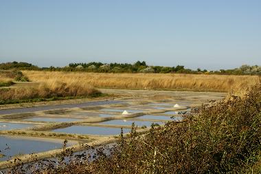 Ferienwohnung in Dompierre sur mer (Charente-Maritime) oder Ferienwohnung oder Ferienhaus