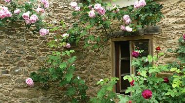 Ferienhaus in Ortigueira (A Coru�a) oder Ferienwohnung oder Ferienhaus
