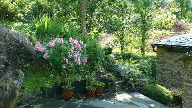 Ferienhaus in Ortigueira (A Coru�a) oder Ferienwohnung oder Ferienhaus