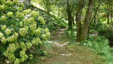 Ferienhaus in Ortigueira (A Coru�a) oder Ferienwohnung oder Ferienhaus