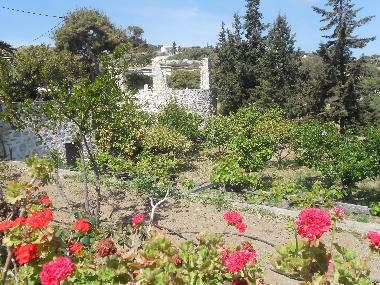 Villa in Chroussa (Kyklades) oder Ferienwohnung oder Ferienhaus