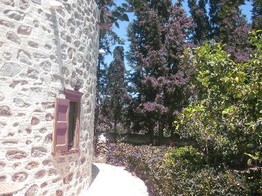 Villa in Chroussa (Kyklades) oder Ferienwohnung oder Ferienhaus