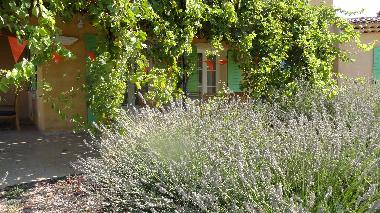 Villa in regusse (Var) oder Ferienwohnung oder Ferienhaus