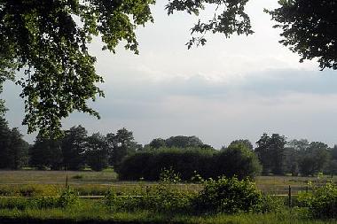Pferdeweide