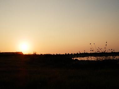 Ferienhaus in Sa Rocca Tunda, San Vero Milis (Oristano) oder Ferienwohnung oder Ferienhaus