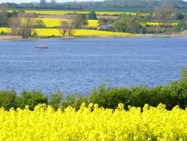 Ostseefjord Schlei zur Rapsbl�te - etwa Mitte Ende Mai