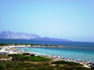 Ferienwohnung in San Teodoro (Nuoro) oder Ferienwohnung oder Ferienhaus