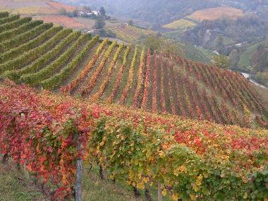 Ferienhaus in Alba (Cuneo) oder Ferienwohnung oder Ferienhaus