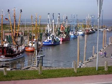 Krabbenkutter Flotte im Hafen
