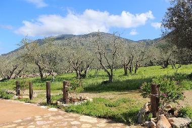 Ferienhaus in Torretta (Palermo) oder Ferienwohnung oder Ferienhaus