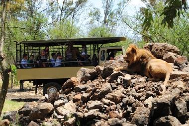 Ferienwohnung in FLIC EN FLAC (Black River) oder Ferienwohnung oder Ferienhaus