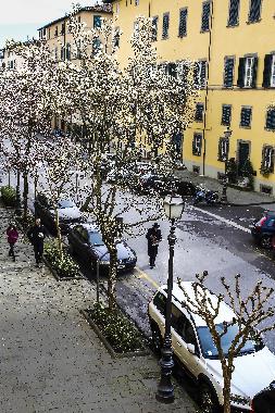Ferienwohnung in Lucca (Lucca) oder Ferienwohnung oder Ferienhaus