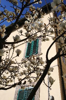 Ferienwohnung in Lucca (Lucca) oder Ferienwohnung oder Ferienhaus