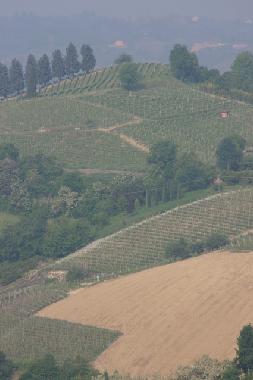 Ferienhaus in Canale (Cuneo) oder Ferienwohnung oder Ferienhaus