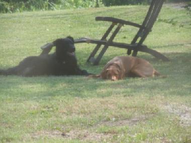 Pension in Canale (Cuneo) oder Ferienwohnung oder Ferienhaus