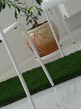 Ferienwohnung in Odessa (Odes