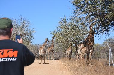 Ferienhaus in Marloth Park (Mpumalanga) oder Ferienwohnung oder Ferienhaus