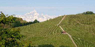 Ferienhaus in Cisterna d
