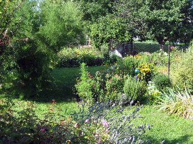 Ferienhaus in Illmitz (Nordburgenland) oder Ferienwohnung oder Ferienhaus