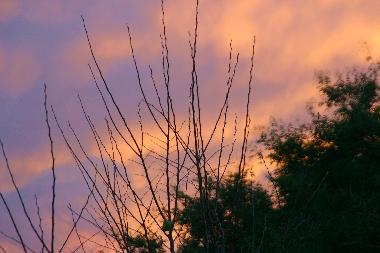 Ferienhaus in Illmitz (Nordburgenland) oder Ferienwohnung oder Ferienhaus